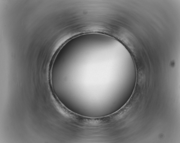 X0000093761039200710231248