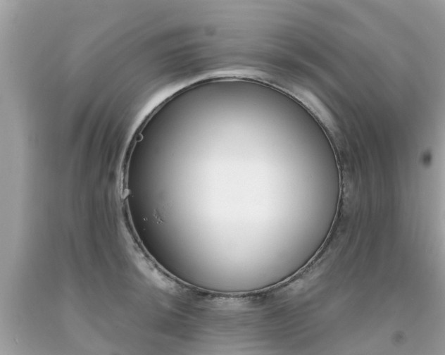 X0000093761044200710231248