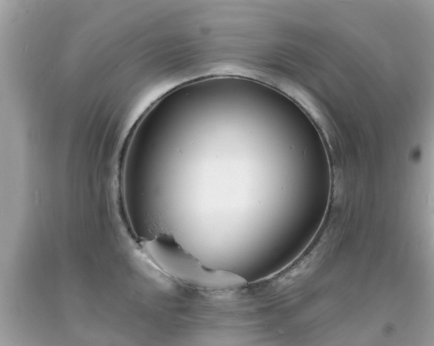 X0000093761048200710231248