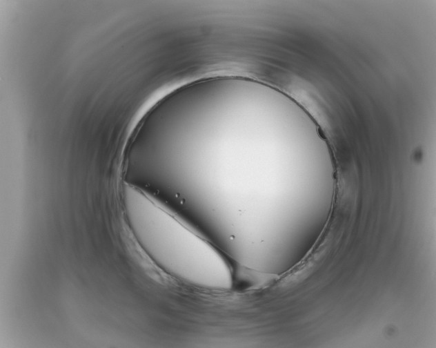 X0000093761052200710231248