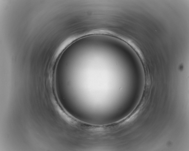 X0000093761054200710231248