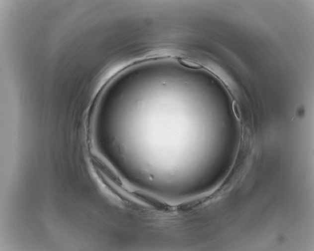 X0000093761055200710231248
