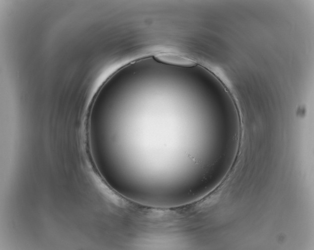 X0000093761056200710231248