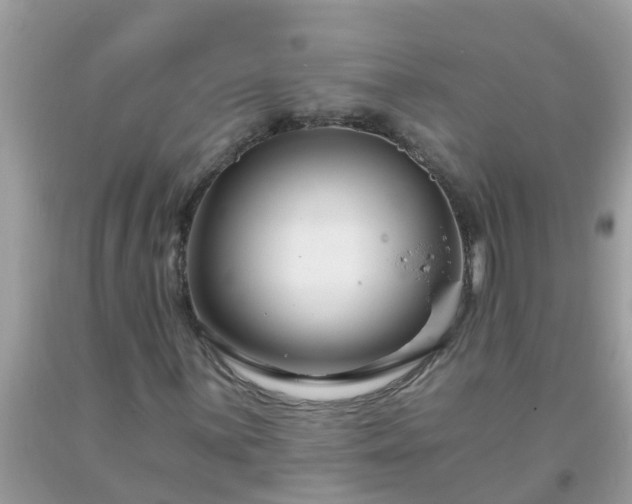 X0000093761059200710231248