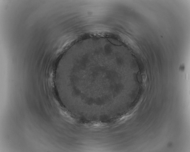 X0000093761060200710231248