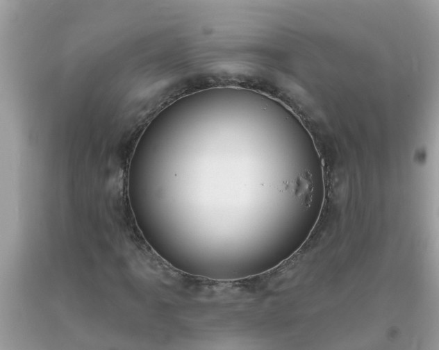 X0000093761061200710231248