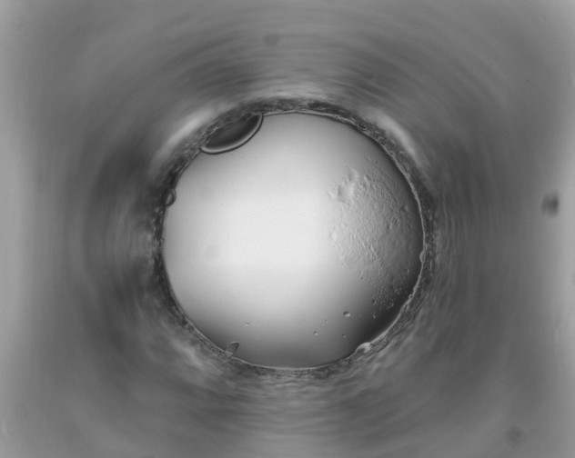 X0000093761064200710231248