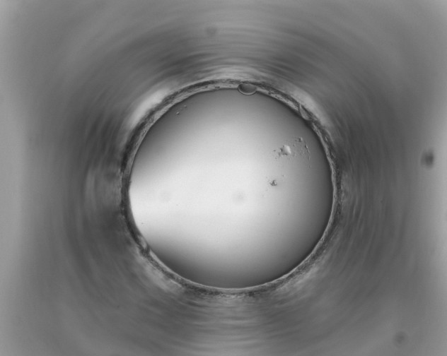 X0000093761067200710231248