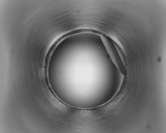 X0000093761068200710231248