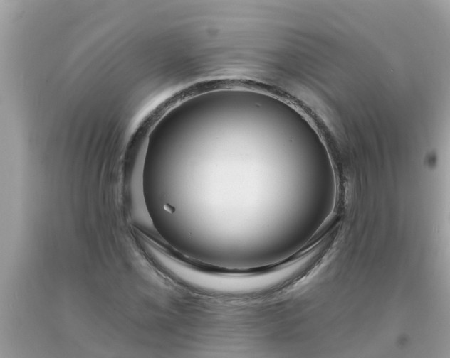 X0000093761069200710231247