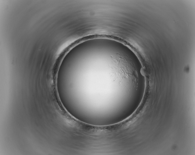 X0000093761070200710231247