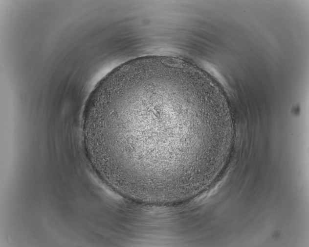 X0000093761071200710231247