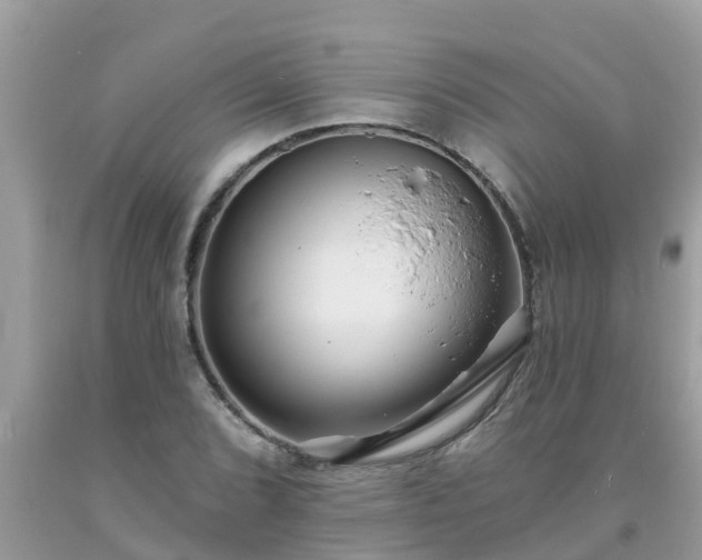 X0000093761072200710231247