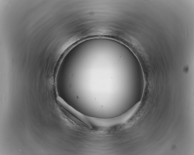 X0000093761073200710231247