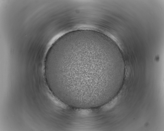 X0000093761074200710231247