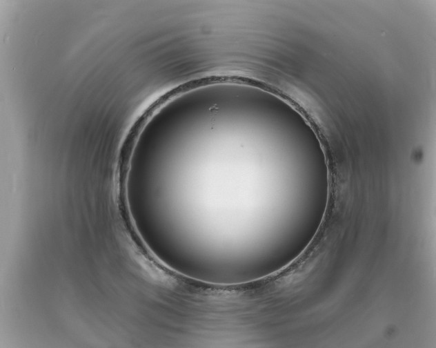 X0000093761076200710231247