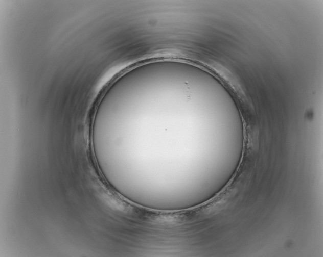 X0000093761078200710231247