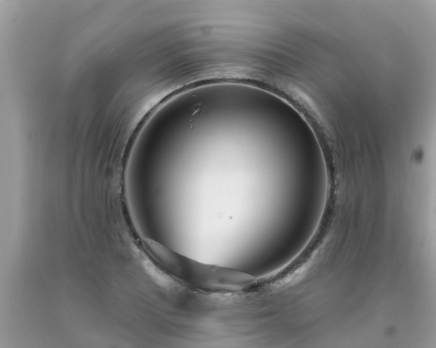 X0000093761081200710231247