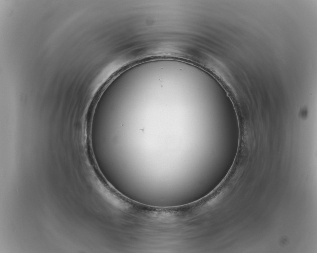 X0000093761082200710231247