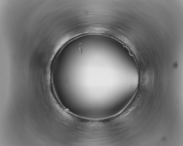 X0000093761083200710231247