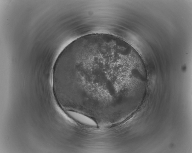 X0000093761084200710231247