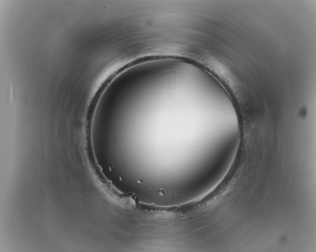 X0000093761085200710231247