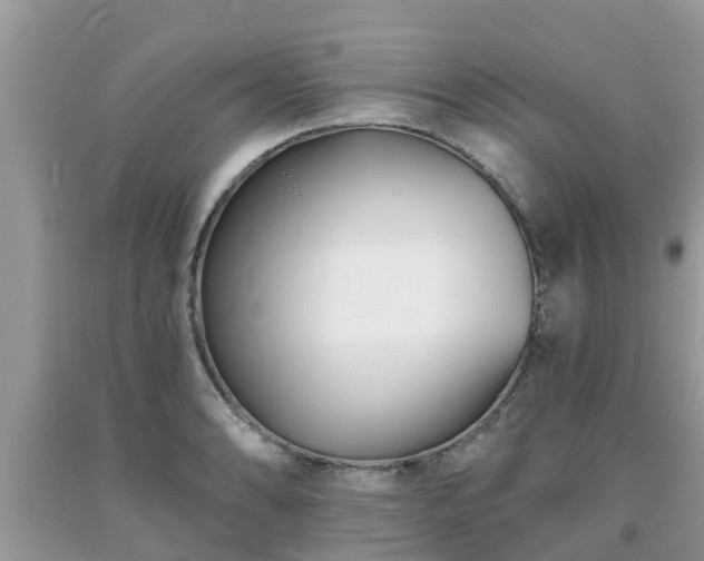 X0000093761086200710231247