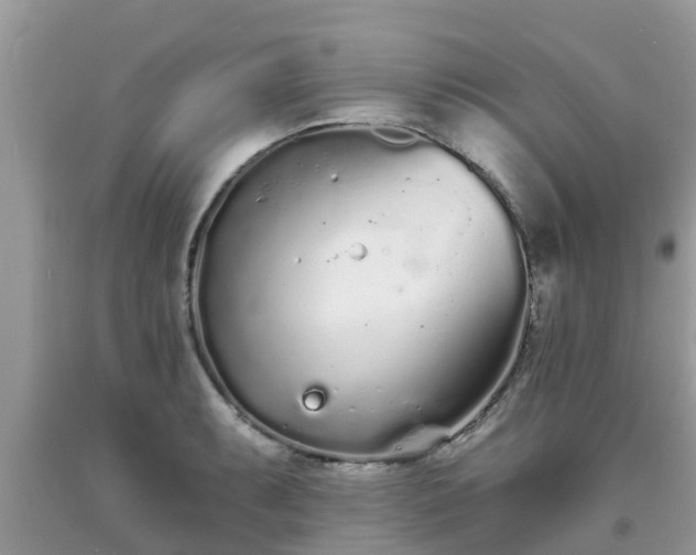 X0000093761087200710231247