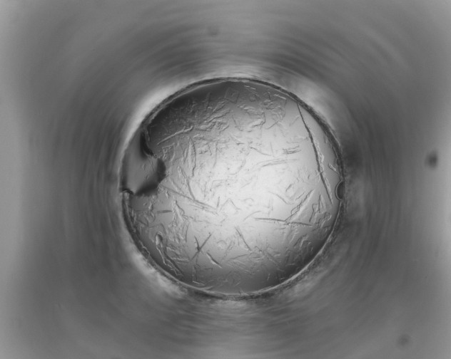 X0000093761088200710231247