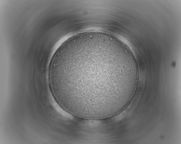 X0000093761090200710231247