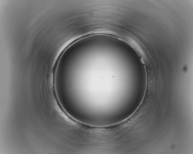 X0000093761092200710231247