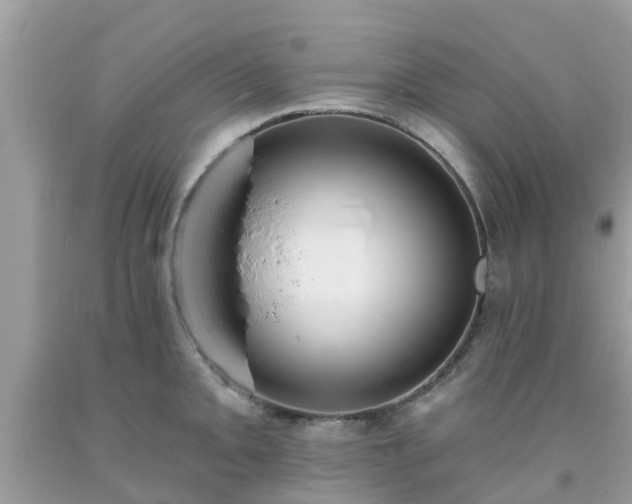 X0000093761093200710231247