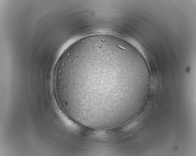 X0000093761098200710231247