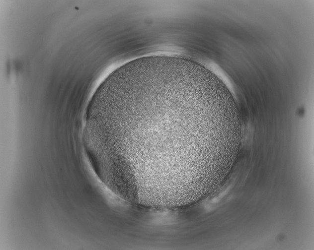X0000093761099200710231247