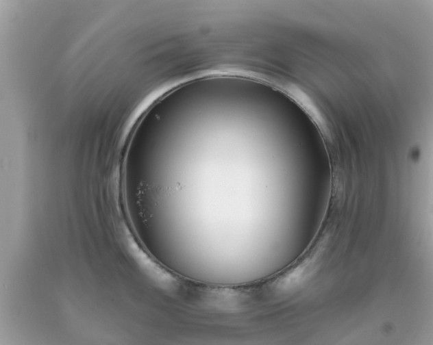 X0000093761100200710231247