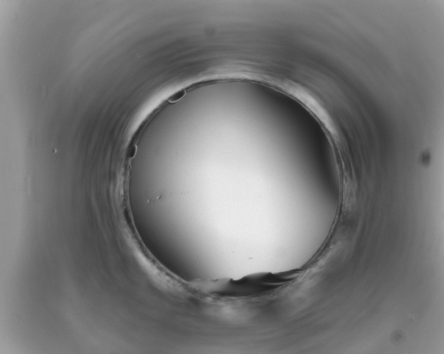X0000093761101200710231247
