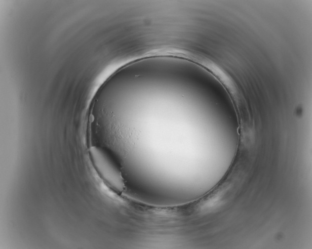 X0000093761102200710231247