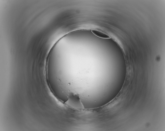 X0000093761103200710231247