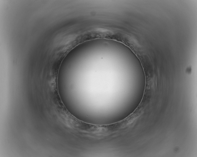 X0000093761109200710231247