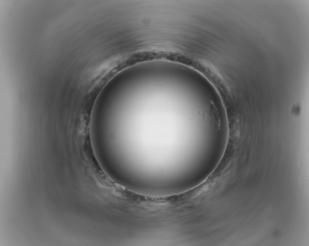 X0000093761110200710231247