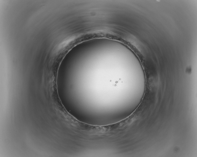 X0000093761111200710231247