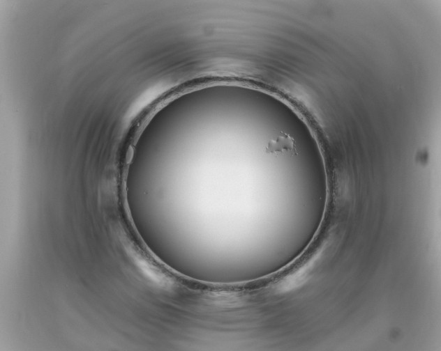 X0000093761114200710231247