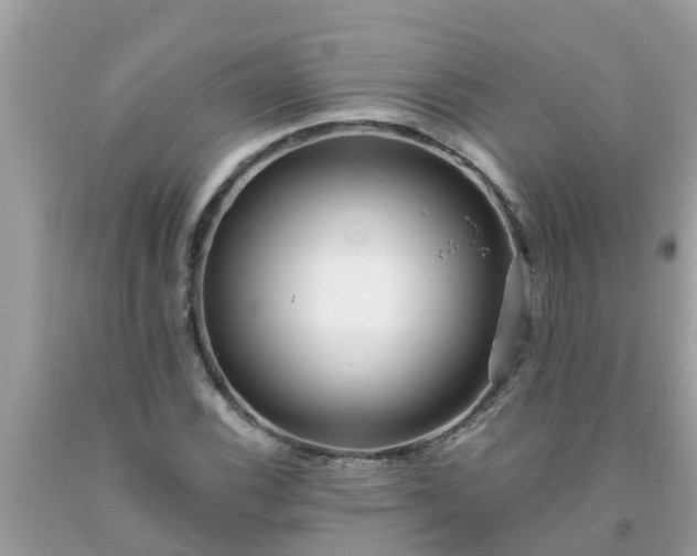 X0000093761116200710231247