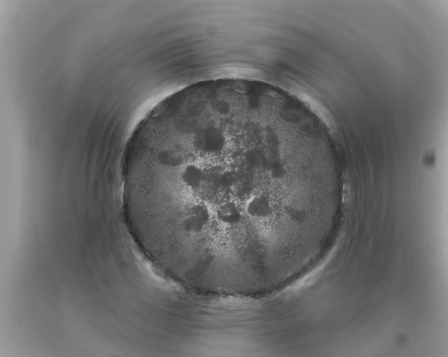 X0000093761117200710231247