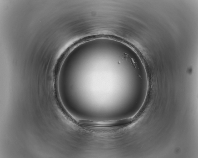 X0000093761118200710231247