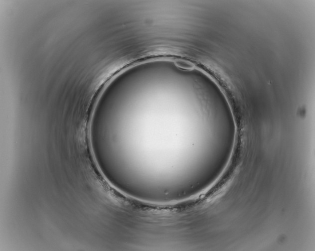 X0000093761121200710231247