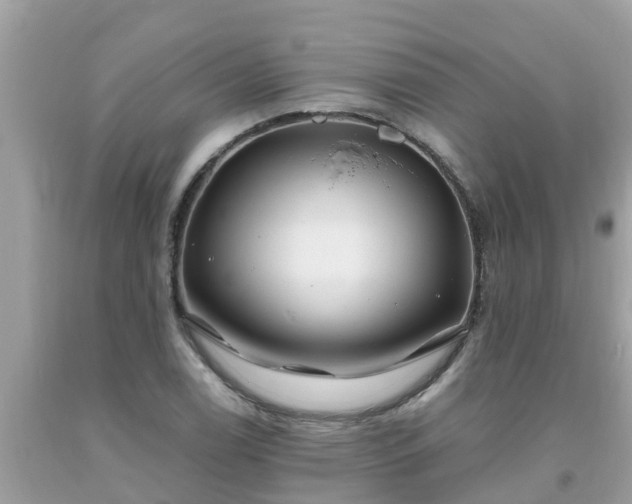 X0000093761122200710231247