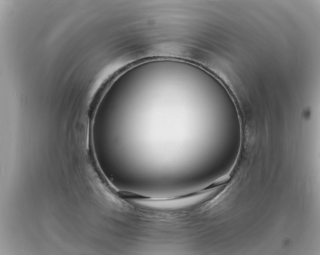 X0000093761123200710231247