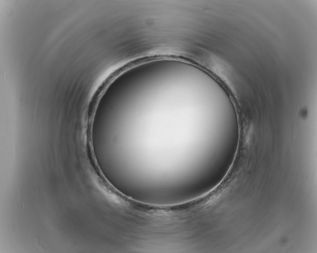 X0000093761124200710231247