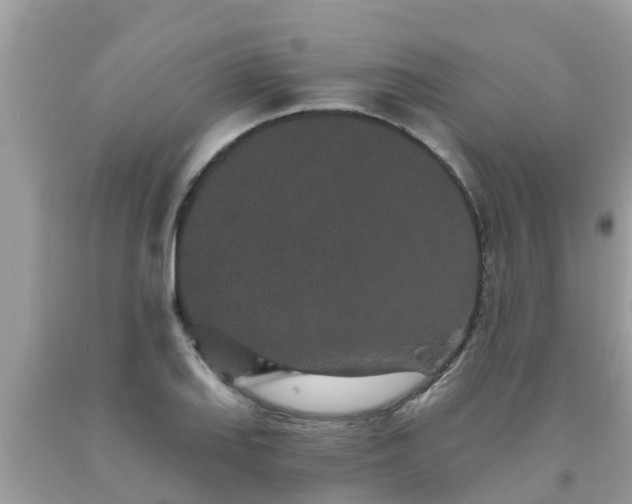 X0000093761127200710231247